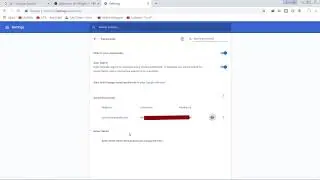 Risk of saving passwords on Web Browser