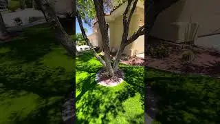 Artificial Grass in Front Yard by US Turf