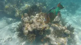 Church Bay, Bermuda 2018 - GoPro
