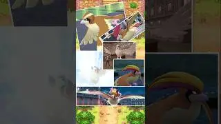 💢 From an Alpha Pidgey to a Mega Pidgeot! 🔥🕊️🔥