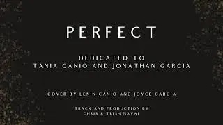 Perfect (cover)