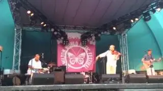 HWMF 1 - Hamilton World Music Festival - Sultans of String