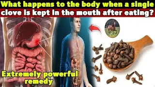 A single Clove kept in mouth after eating what will happened Must Watch