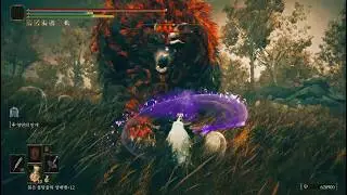 [Elden Ring] Eternal sleep for Rugalea / 영면 상태이상