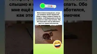 🤣🤣 #смех #семья #юмор #смехпродлеваетжизнь #мем #смешновидео #анекдоты #шуточное #семьявместе #memes