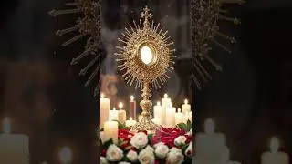 Five Minutes with Jesus in the Blessed Sacrament | Surrender Your Plans to Him