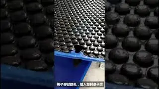 pool reel
