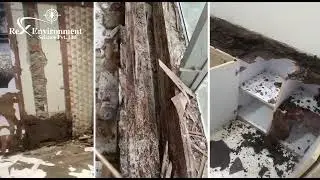TEREMITE DAMAGE & PREVATION TECHNIQUES | REX ENVIRONMENT SCIENCE | REX PEST CONTROL