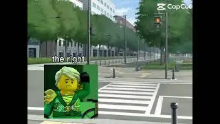 Lloyd learning how to cross the street 