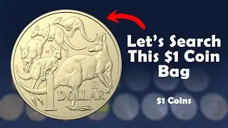 Let&rsquo;s Search This $1 Coin Bag ($1 Coins)