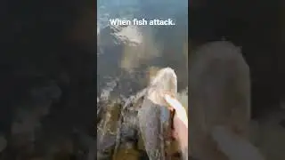 #hukfishing #tightlines #fishfight