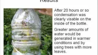 Water bottle challenge - magic self refilling water bottles