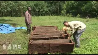 ንብ ማነብ ሌላው የገቢ አማራጭ  ማቻክል 2013ዓ ም
