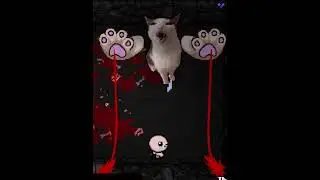 SO MANY CATS MOD FOR THE BINDING OF ISAAC REPENTANCE!