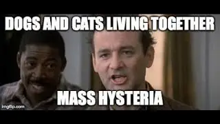 Dogs & Cats (Living together, Mass Hysteria)