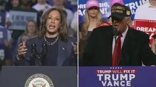 Kamala Harris, Donald Trump make final pitches on eve of Election Day