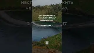 2 Тимофею 3:16-17 в современном переводе #библия #biblevision