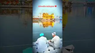 ❤️ Golden temple #shorts #viral #goldentemple