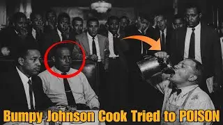 Bumpy Johnson Exposed: Trusted Cook&rsquo;s Poison Plot That Shocked Harlem&rsquo;s Gangster Underworld History