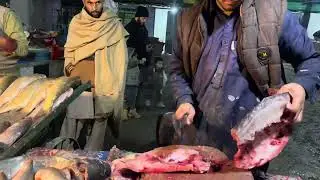 ASMR 5kg big fish cleaning and cutting #fish #campping #cooking #cookingfood 