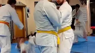 Jujitsu: Wristlock Drill