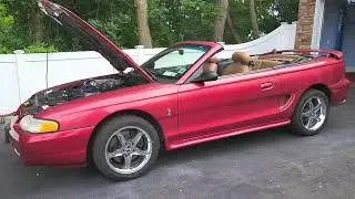 1996 Ford Mustang SVT Cobra Convertible For Sale~Low Mileage~Runs and Drives Fantastic
