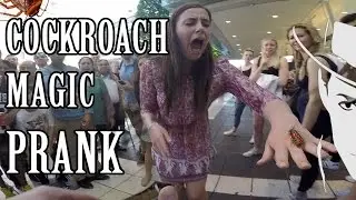 Виртуальная реальность: розыгрыш &laquo;Таракан&raquo; 🐜 &mdash; Жюльен Мэджик