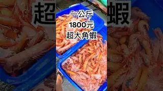 最近大溪漁港捕獲的角蝦越來越大隻😅😅😅 #漁民 #漁港 #美食 #海鮮好き #大蝦 #角蝦