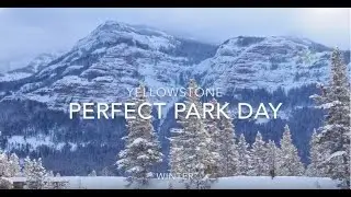 Yellowstone Perfect Park Day-Winter