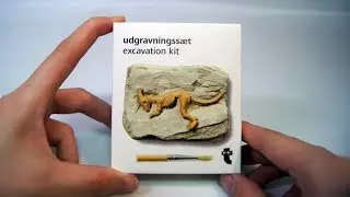 flying tiger dinosaur fossil excavation kit | asmr