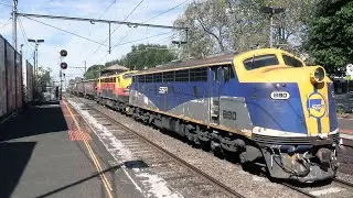 70 YEAR OLD STREAMLINERS on mainline freight - SSR grain consist at Kensington and other trains