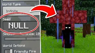 How I summon Most POWERFULL Entity THE NULL (SCARED)