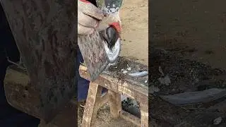 The poor donkey can't walk, let me help it #donkey #hooftrimming #oddlysatisfying #unzip #donkeyhoof