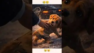Leo&rsquo;s Heart Touching Story #Shorts😭💔 #DogLovers