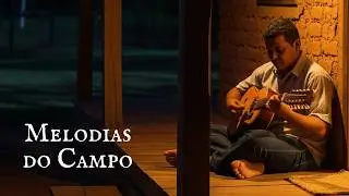 Músicas do Campo Relaxantes – Melodias pra Reviver as Noites em que o Silêncio Era Música