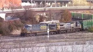 Q439 and Q409/Q439 at Warner Street and St.Denis