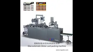 High quality 12 pcs glues automatic blister packaging machine / Nuobeier blister packing serial