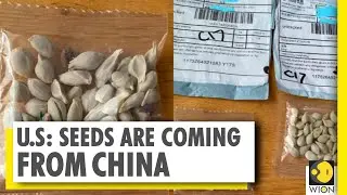 U.S warns against planting mysterious seeds | Chinese mysterious seeds | World News