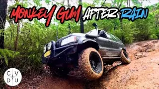 Monkey gum 4x4 in the wet | Holden Jackaroo | #explore #automobile #4wd #offroad #fun