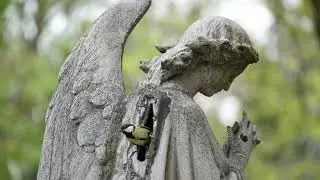 Mozart/Czerny Requiem-Introitus-Officina Musicale-O.Tuccella,dir- E.M.Del Romano,Maestro del coro