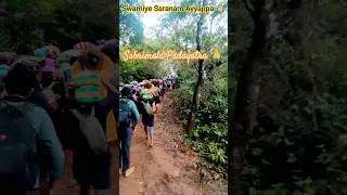 Ayyappa Swamy 🙏 #sabrimala #ayyappa #manikandan #saranamayyappa #ayyappaswamysongs #ayyappasong
