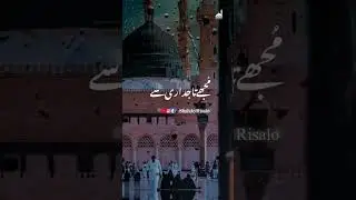#bhittshah #unfrezzmyaccount #shahjorisalo #shahabdullatifbhittai #duet #qawali #account #bhittshah