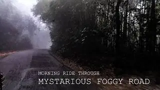 What Happens When You Drive Through a Foggy Road in Winter?