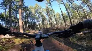 Cottage Grove MTB 1/17/26