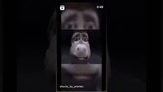 #meme #handsome #memesdaily