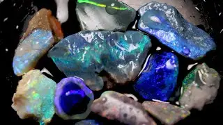 LIVE Uncut Rough Black Opal Cutting!