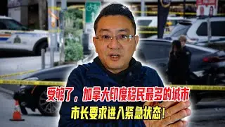 受够了！加拿大印度移民最多的城市，市长要求进入紧急状态