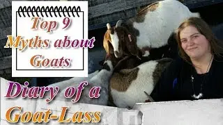 Top 9 Myths About Goats: Diary of a Goat-Lass
