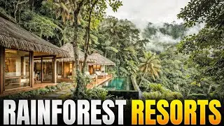 Top 10 Most Popular Rainforest Resorts