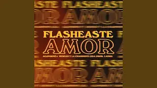 Flasheaste Amor